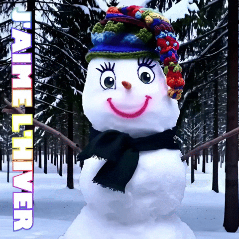 Bonhomme De Neige GIF by TresorsDuMonde.ca