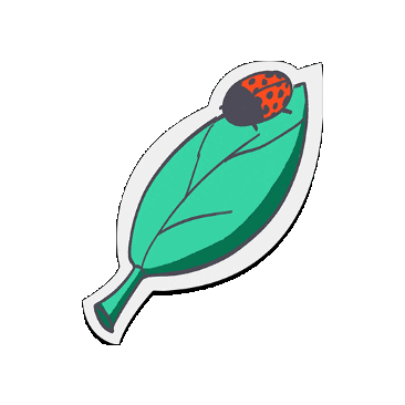 Dubai Safari Park Sticker