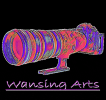 Wansing-Arts GIF