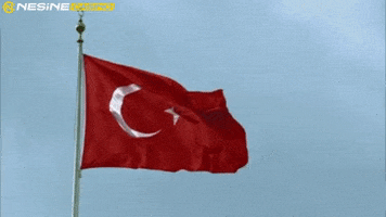 Flag Turkey GIF by nesinecasino