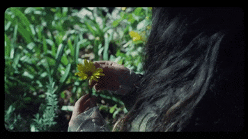 Nobodys Home Flowers GIF by Mallrat