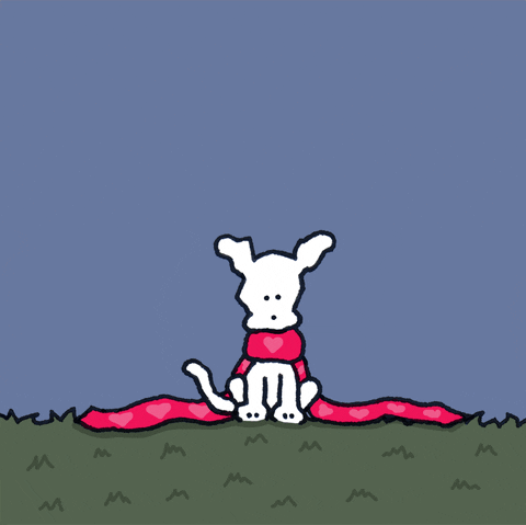 Fall Dogs GIF by Chippy the Dog
