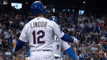 Major League Baseball Hug GIF by New York Mets