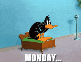 daffy duck gifs find & share on giphy 200_s daffy duck gifs find & share on giphy,