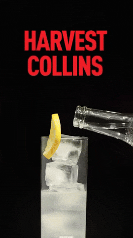 Vodka Martini Friday GIF by American Harvest Vodka