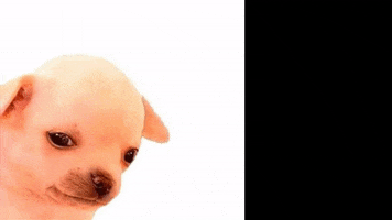 CEICUSACH GIF