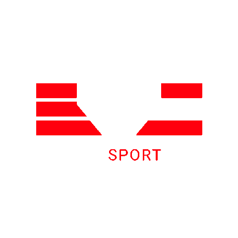 Racing Tuning Sticker by Seletron Performance