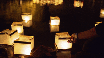 GIF by The James Agency