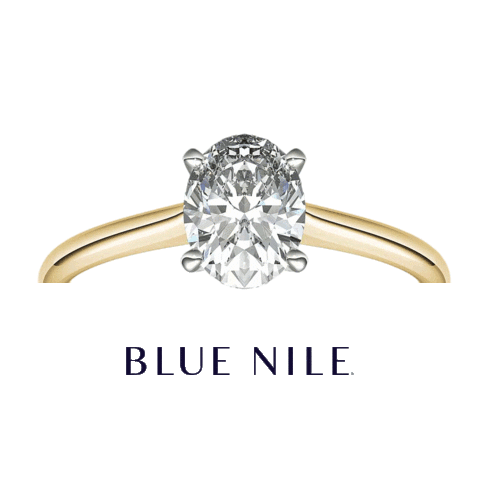 Blue Nile Sticker