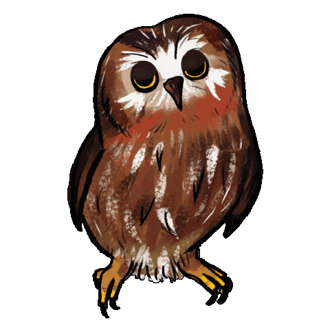 Blink Owl Sticker by girlinwhiteglasses