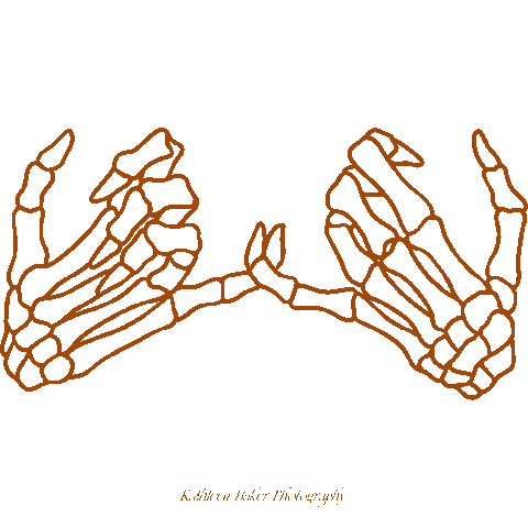 Sticker by Kathleen Baker Photography