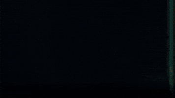 GIF by Studiocanal Germany