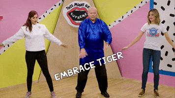 grace helbig tiger GIF by This Might Get