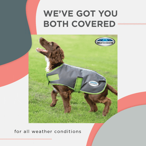 WeatherBeeta GIF