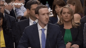 Testifying Mark Zuckerberg GIF by euronews