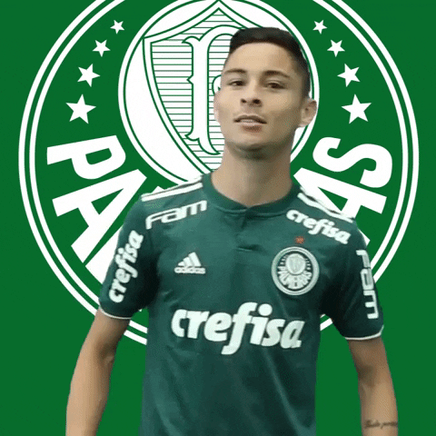 diogo barbosa bravo GIF by SE Palmeiras