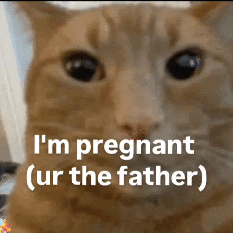 Cat Father GIF