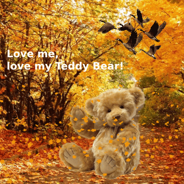 Teddy Bear Fall GIF