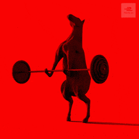horse power gym GIF by ABB Formula E