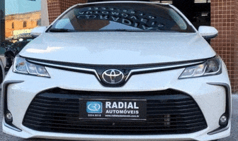 Radial Automóveis GIF