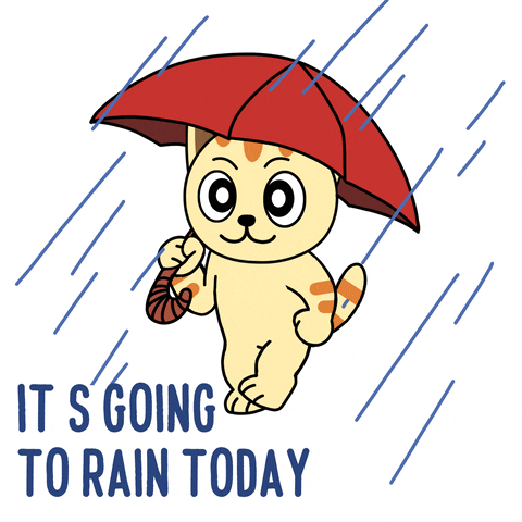 Happy Rainy Day GIF by GoodMorningCat