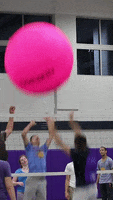 pink school GIF by Western Illinois University