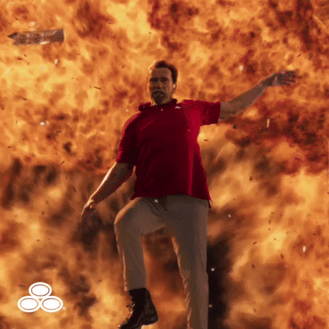 Arnold Schwarzenegger State Farm Commercial GIF by State Farm