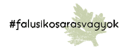 Kosar Sticker by falusikosar