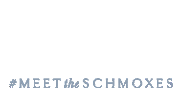 Ryan Schmid Brenda Fox Sticker by @brokeguitars