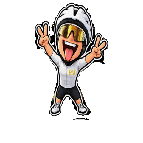 Sticker by Prinzbike