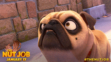 the nut job dog GIF by The Nut Job 2: Nutty By Nature