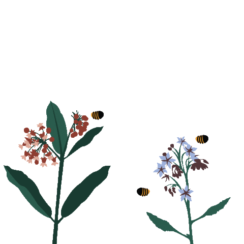 Pollination Sticker by Alvéole