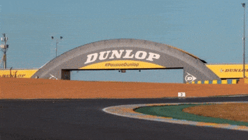 Le Mans Tire GIF