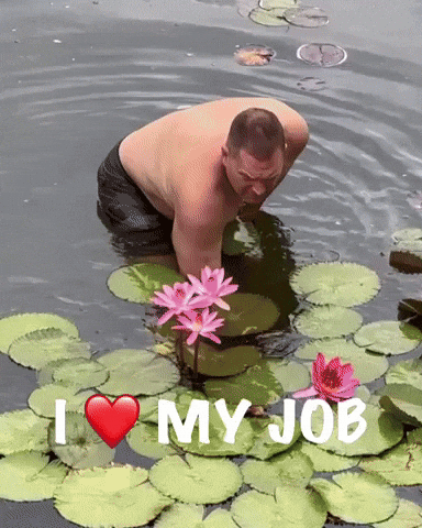 Water Lily I Love My Job GIF