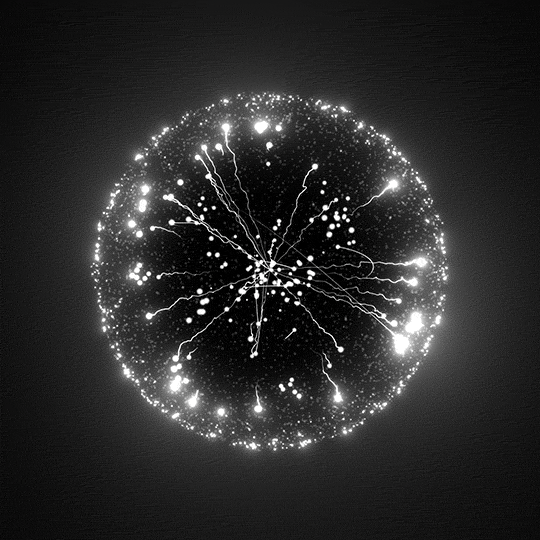 Black And White Loop GIF by xponentialdesign