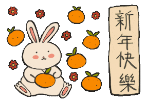 Chinese New Year Bunny Sticker by cypru55