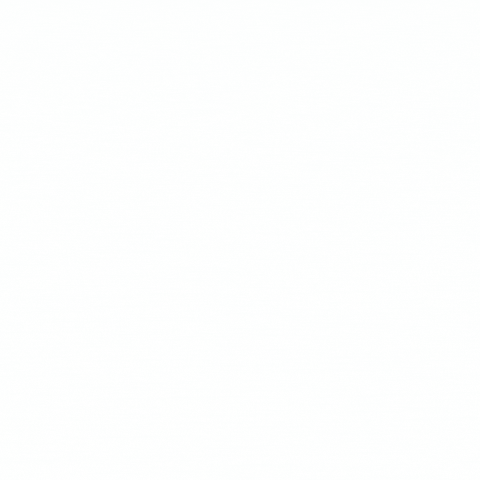 dieciseisnovenos GIF