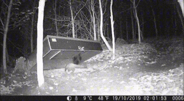 GIF by muensterlandfalle.de