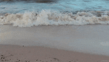 Zanzibar00010 GIF