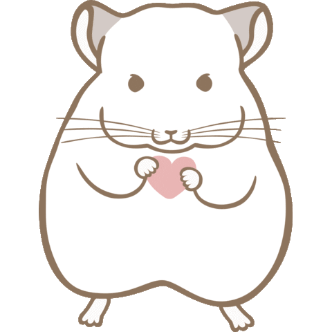 Chinchilla Sticker