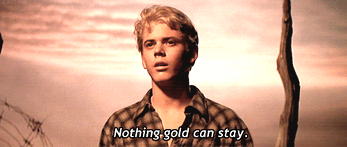 the outsiders c thomas howell ponyboy curtis stay gold nothing gold can stay GIF
