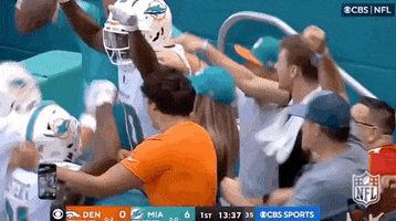 Jumping National Football League GIF by NFL