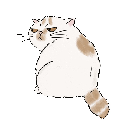 Cat Obi Sticker