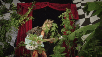 Guitar Musician GIF by Hurray For The Riff Raff