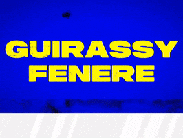 Serhou Guirassy GIF by Socinflu