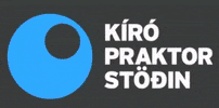Kiro GIF by Kírópraktorstöðin