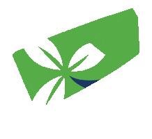 Rowing Ireland Sticker