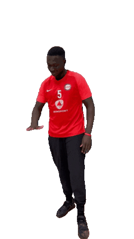 Handball Sticker