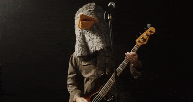 The Wonder Years Bird GIF by Hopeless Records