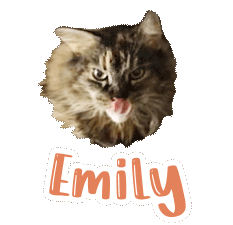 Cat Emily Sticker